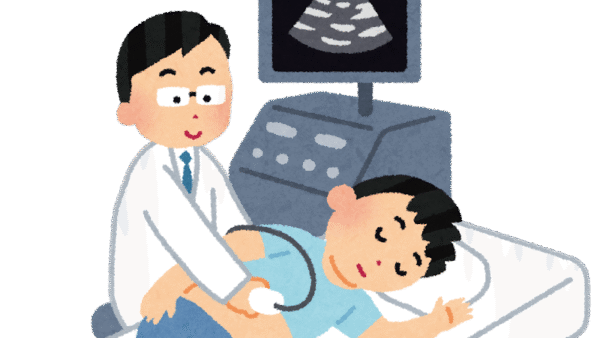 エコー指導や支援を行っています（医療機関向け）