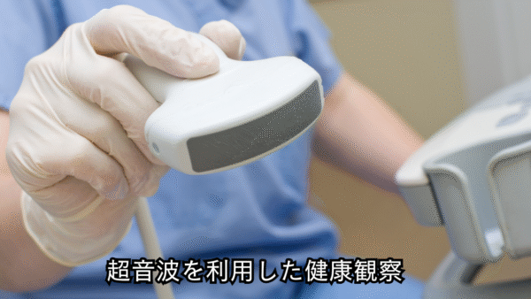 出張健康観察サービス（北海道内）