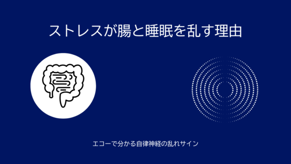 ストレスが腸と睡眠を乱す理由｜エコーで分かる自律神経の乱れサイン