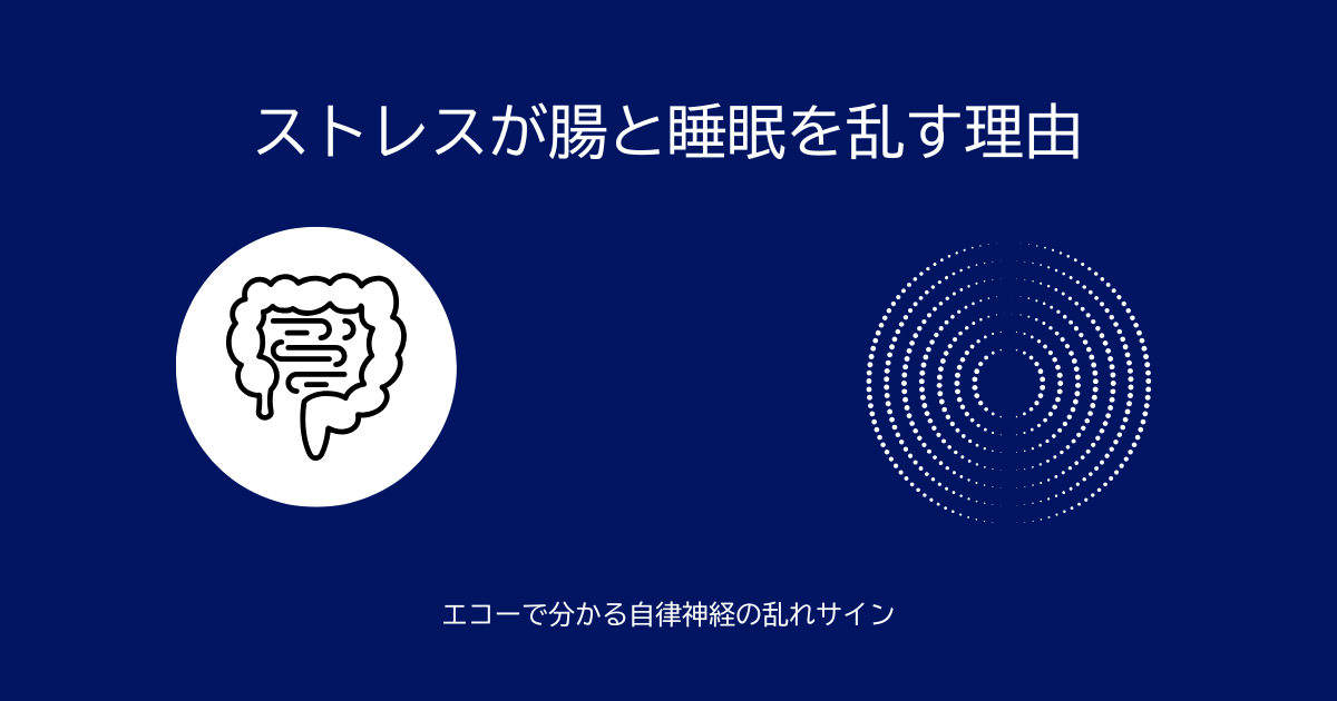 ストレスが腸と睡眠に与える影響を示すイラスト。腸の線画と睡眠・自律神経をイメージした波紋を組み合わせ、エコーで腸の動きを可視化するイメージを表現した画像。
