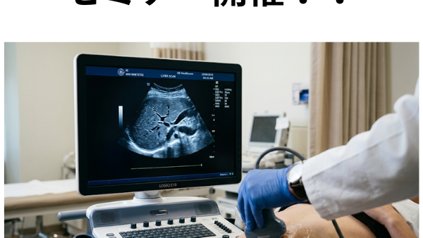超音波検査（エコー）ハンズオンセミナー開催のご案内